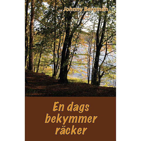En dags bekymmer räcker / Johnny Bergman