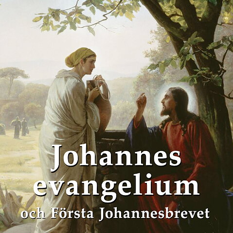 Johannesevangeliet och Första Johannesbrevet - ljudbok