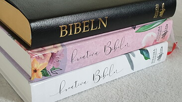 Svenska Folkbibeln 2015  Kreativ Bibel, rosa hårdpärm