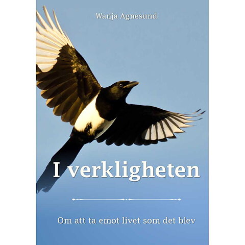 I Verkligheten / Wanja Agnesund