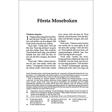 Svenska Folkbibeln 2015 Mellanformat, svart äkta skinn