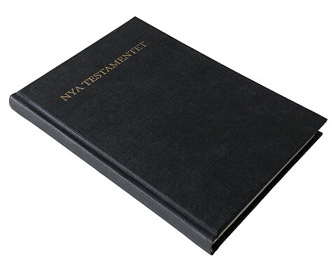 Darbys Nya Testamente - en mycket ordagrann översättning