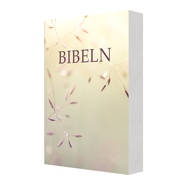 Svenska Folkbibeln 2015  Kompaktbibel äng, mjukpärm