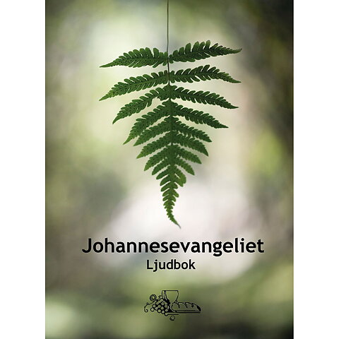 Johannesevangeliet  ljud-bok för nerladdning