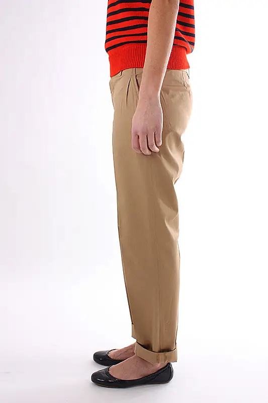 Aliquam scelerisque tortor