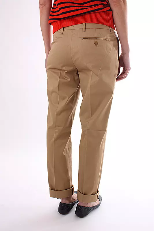 Aliquam scelerisque tortor