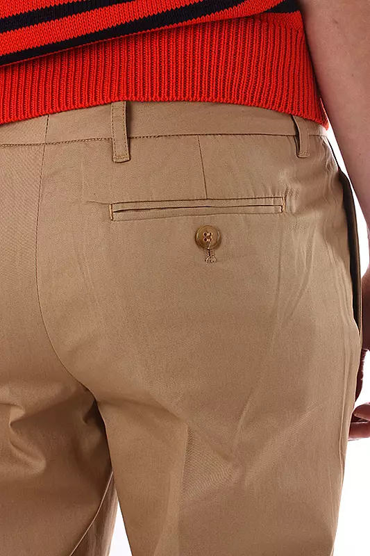 Aliquam scelerisque tortor