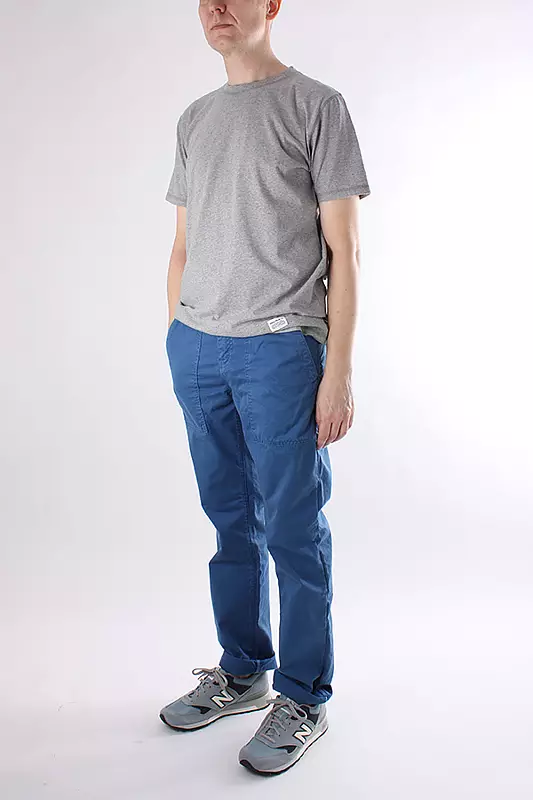 Vivamus accumsan fringilla