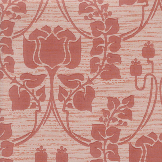 Jugend-tulppaani, old pink