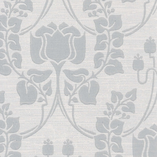 Jugend-tulppaani, blue-grey