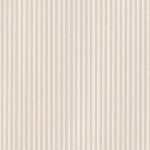 Kapea raita, beige