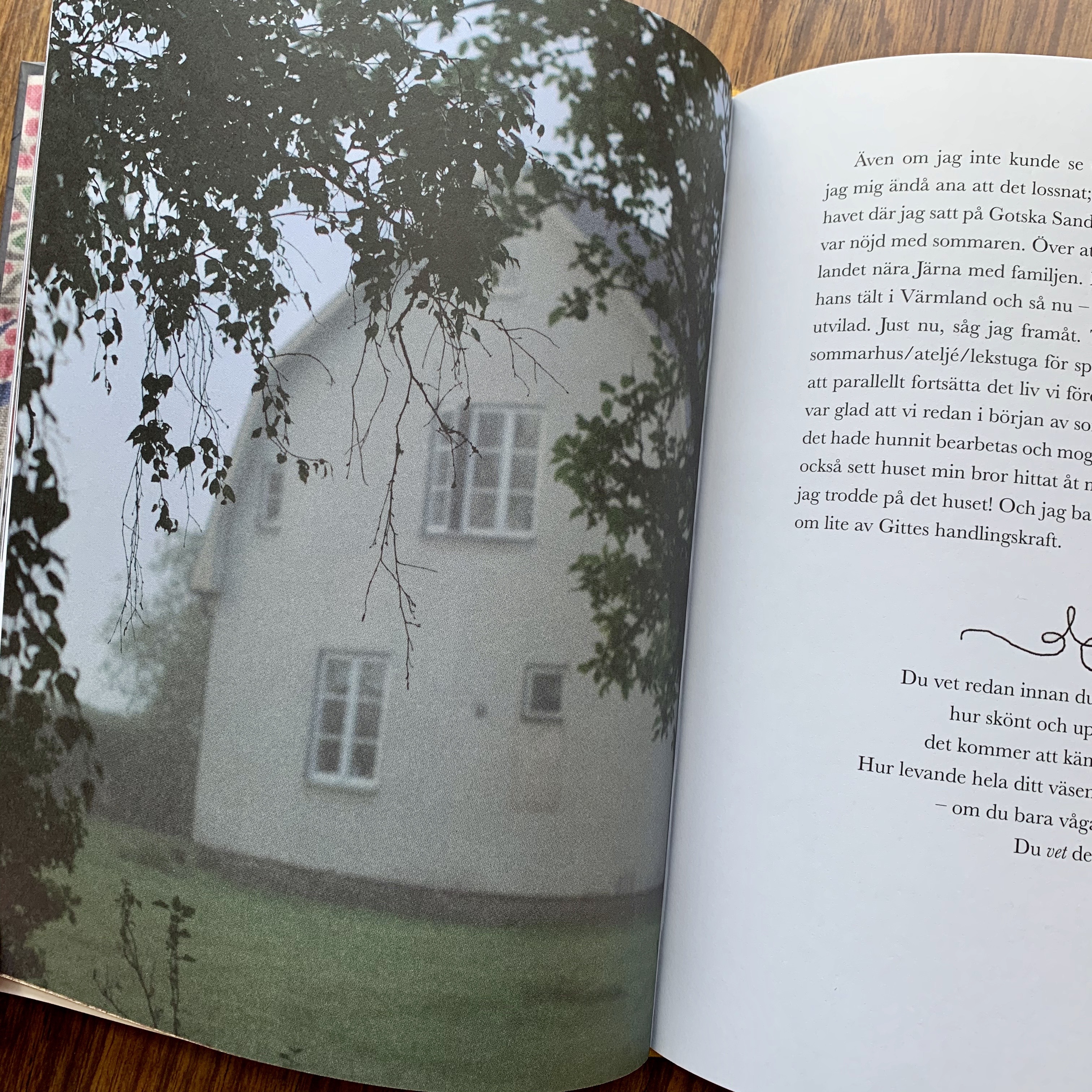 Boken "Hemlängtan" - 3