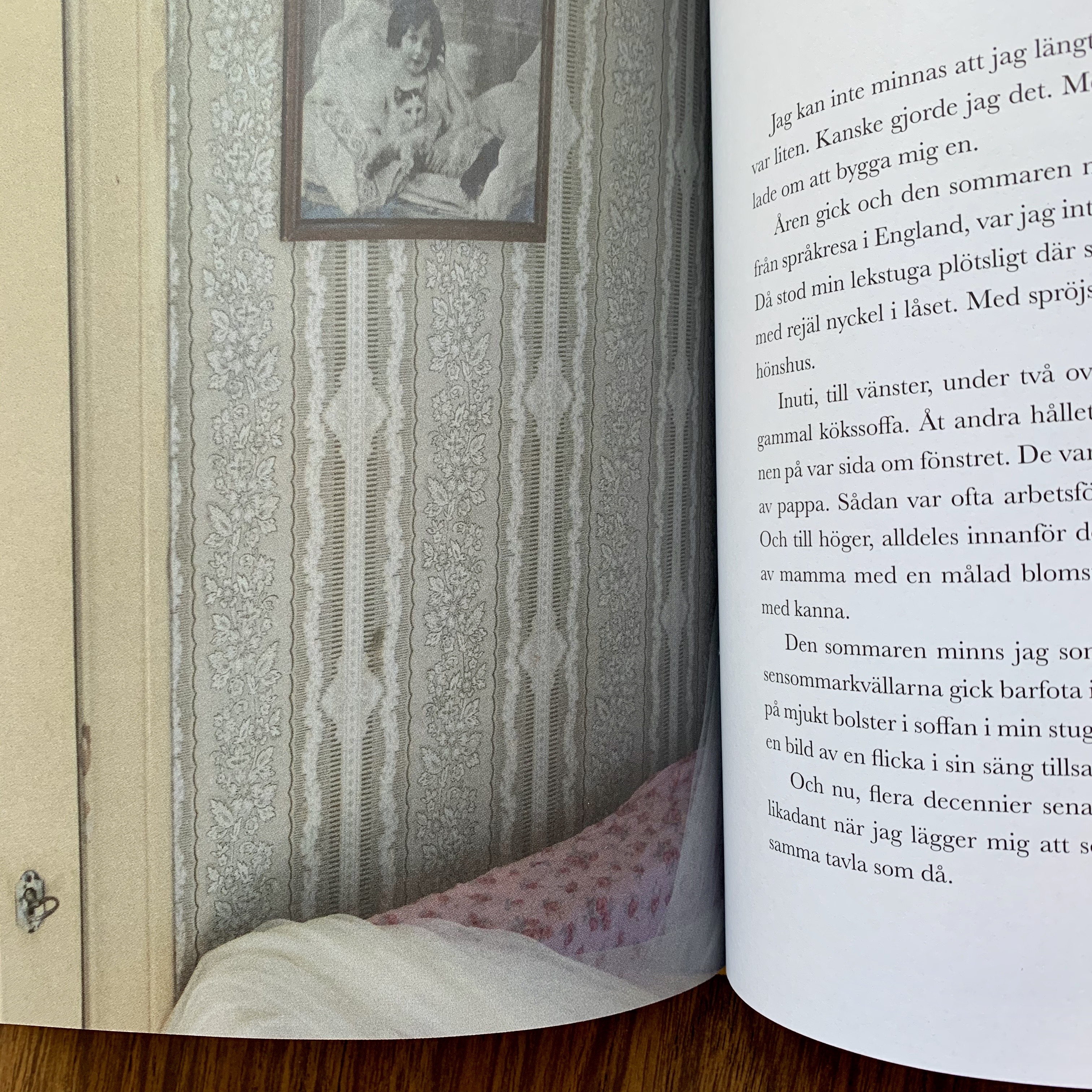 Boken "Hemlängtan" - 4