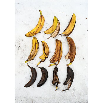 "Banan" print A5