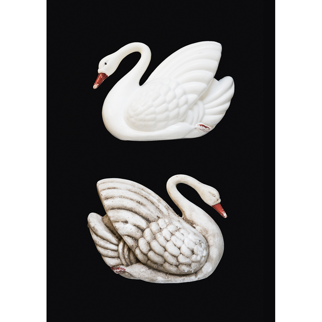 "Den fula svanungen" print A5 