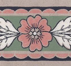 Jugend blomma, rosa