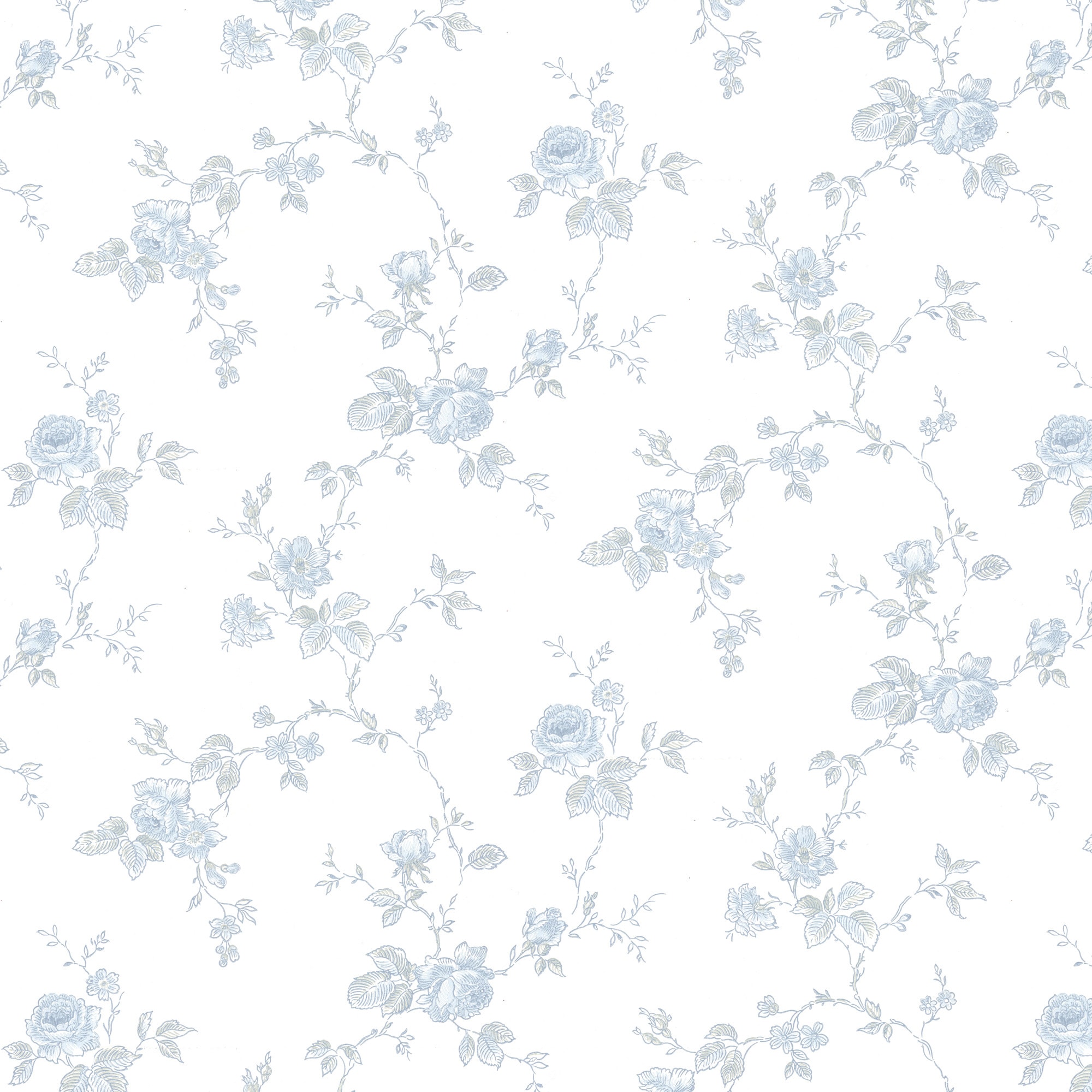 Rosen, white/blue