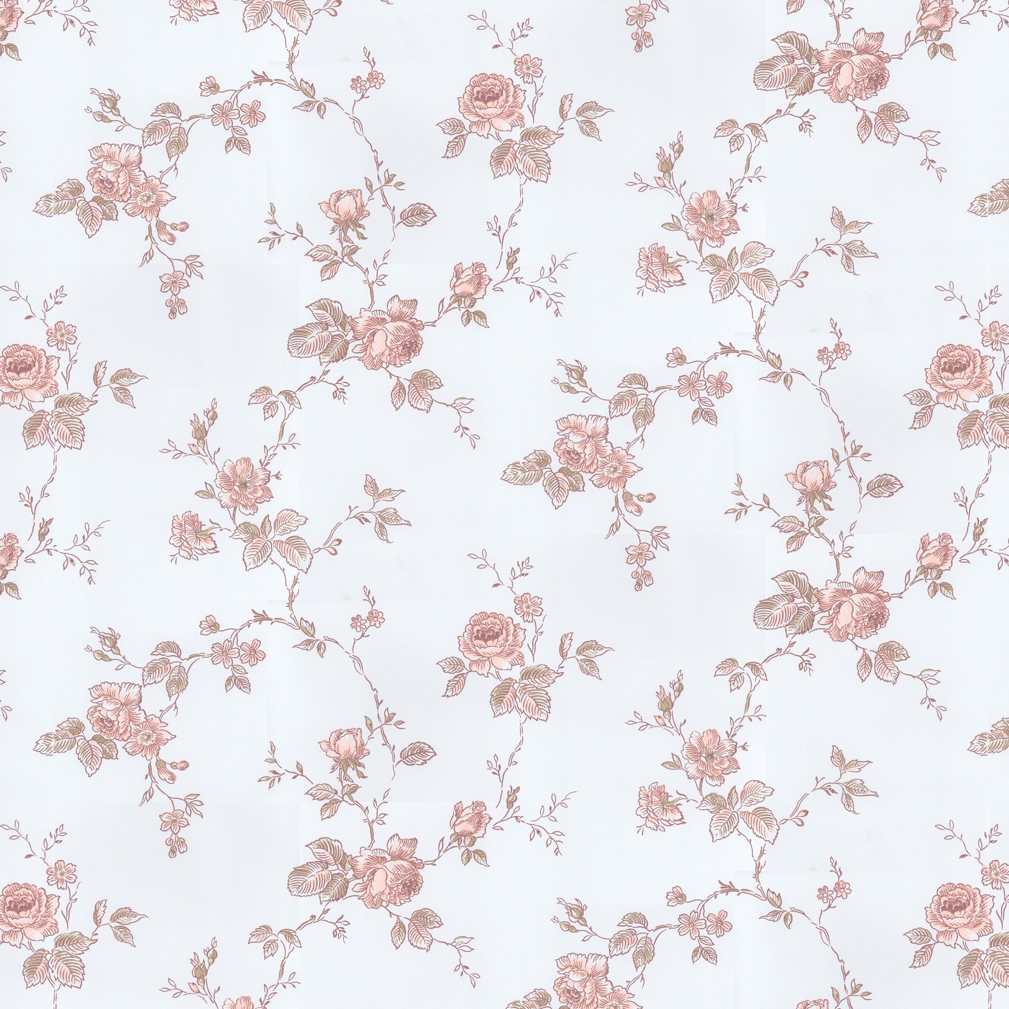 Rosen, blå/rosa