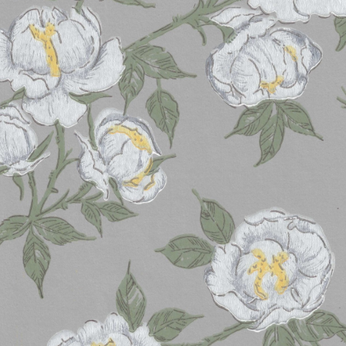 Juhannusruusu, grey