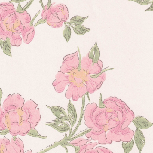 Juhannusruusu, pink