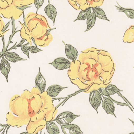 Juhannusruusu, yellow