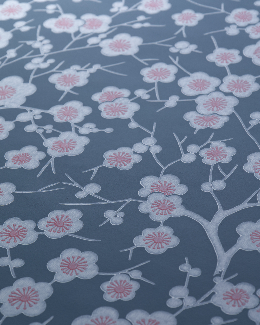 Kirsikkapuu, blue-white - 2