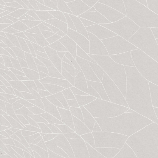 Linneus, grey white