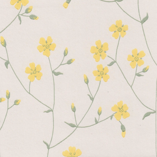 Niittyleinikki, yellow