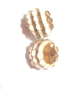 Resin/Pavepärla m. Strassnitar - 14 mm, Nougat stripe