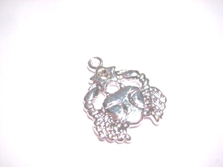 Pendant - Cancer