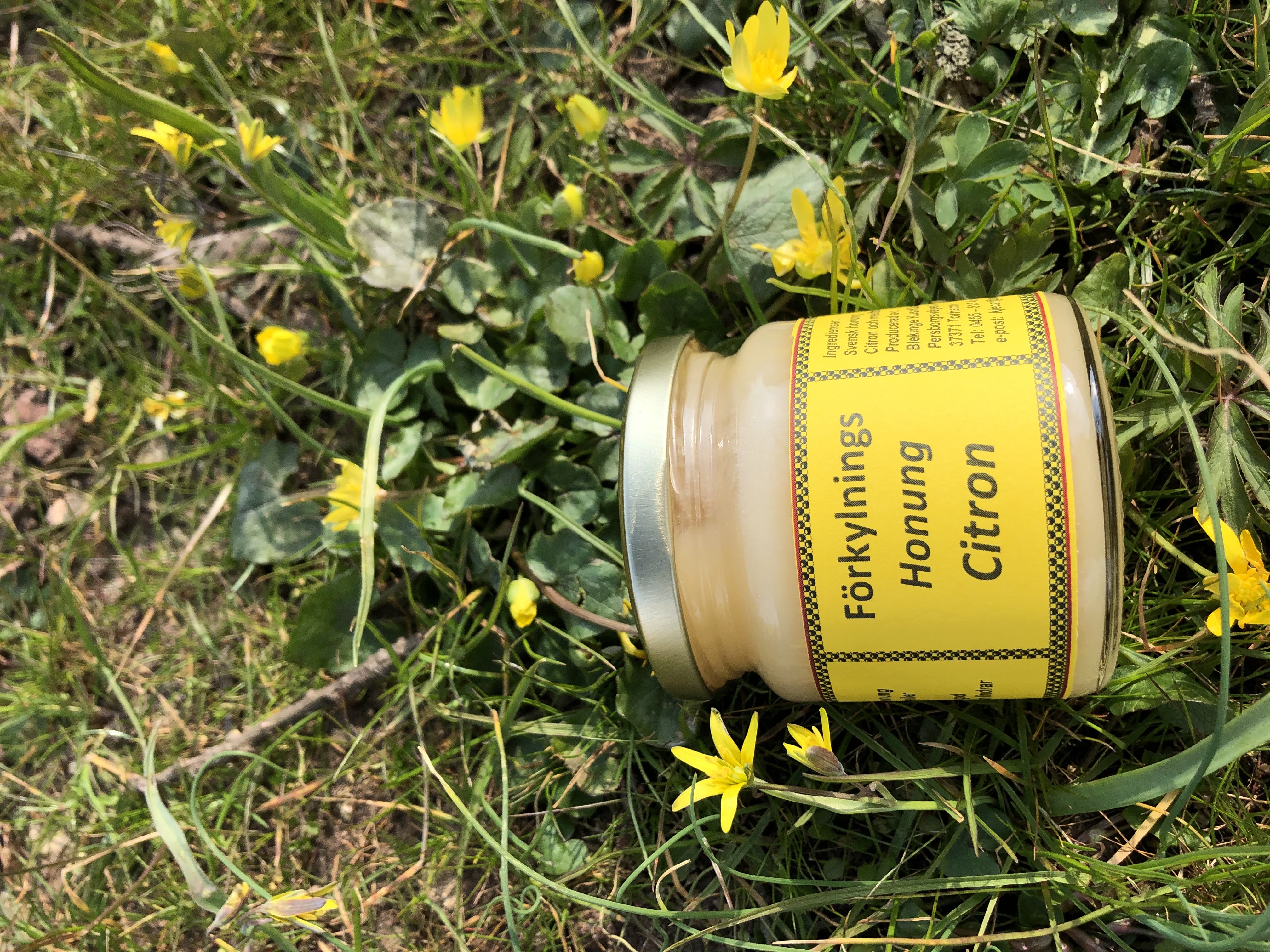 Förkylningshonung med Citron