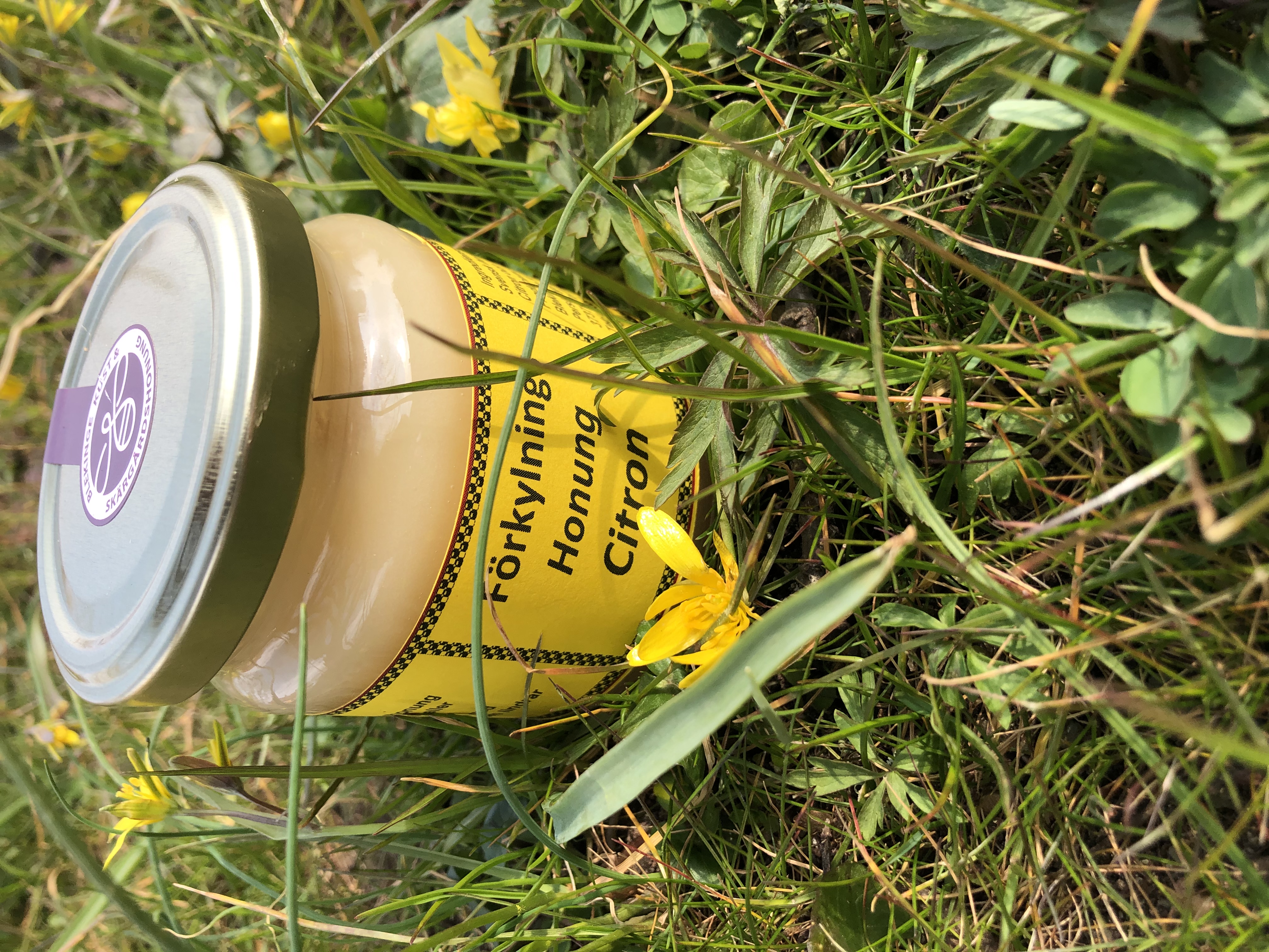 Förkylningshonung med Citron - 2