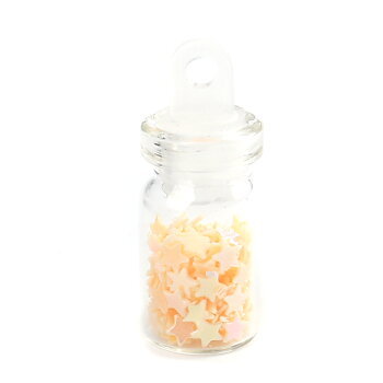 Charm  Glass Globe Bubble Bottle Charms  stars