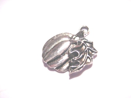 Charm, pumpkin