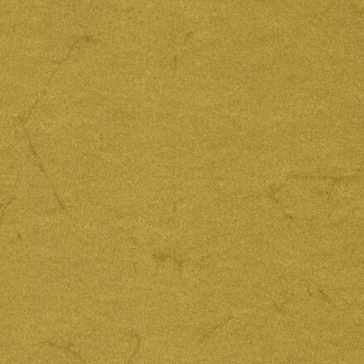 Elephant Hide, chamois