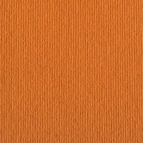 Avana - short grain