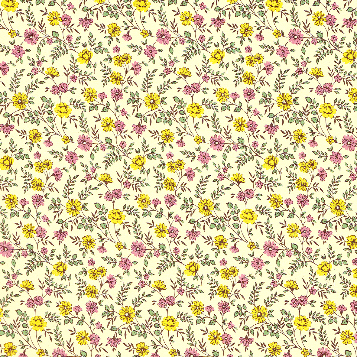 Kornblumen, gul & rosa
