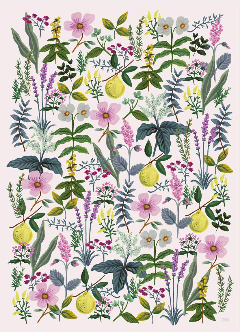 Herb Garden