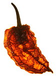 Dried Chiles