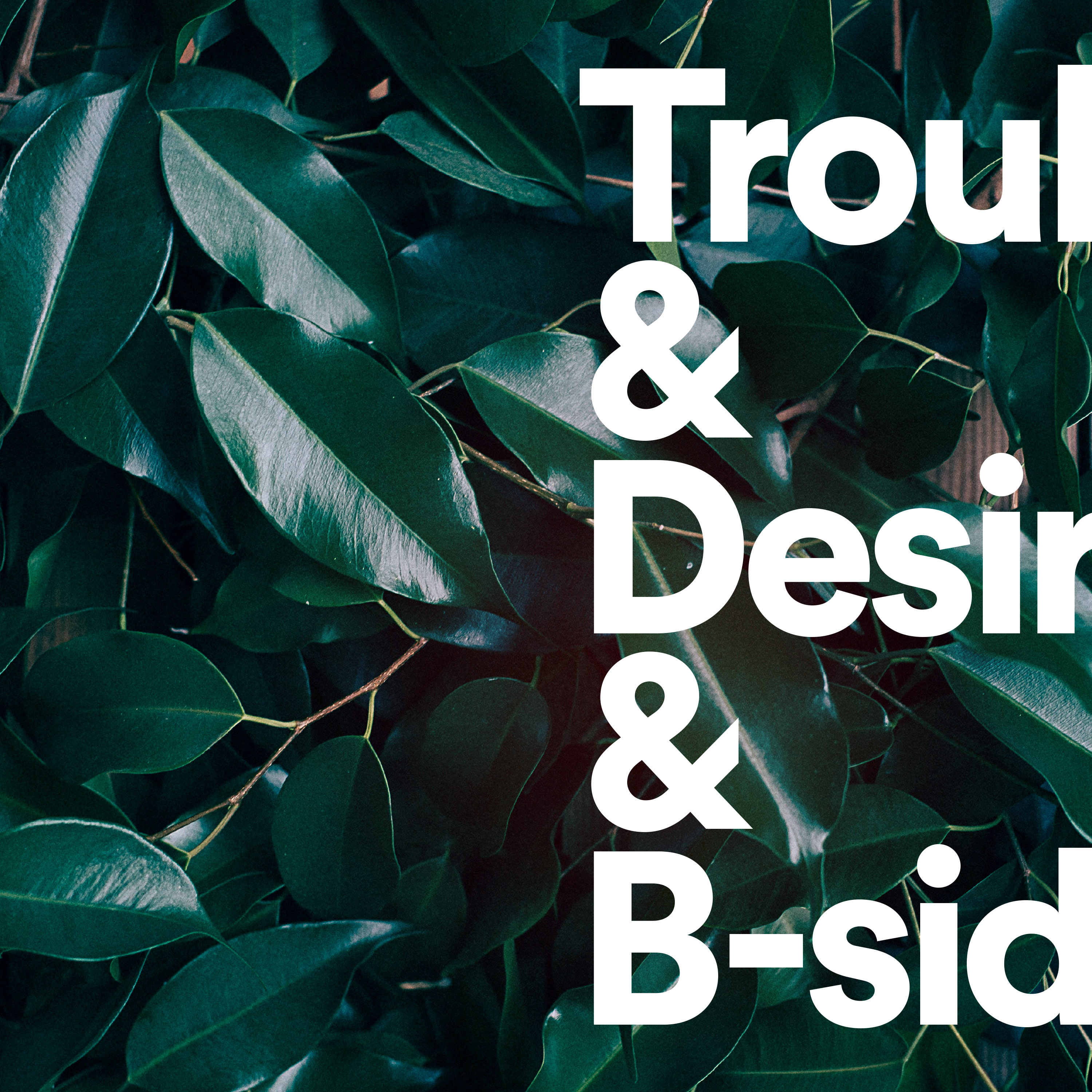Tiger Lou - Trouble & Desire and b-sides (Black Vinyl)
