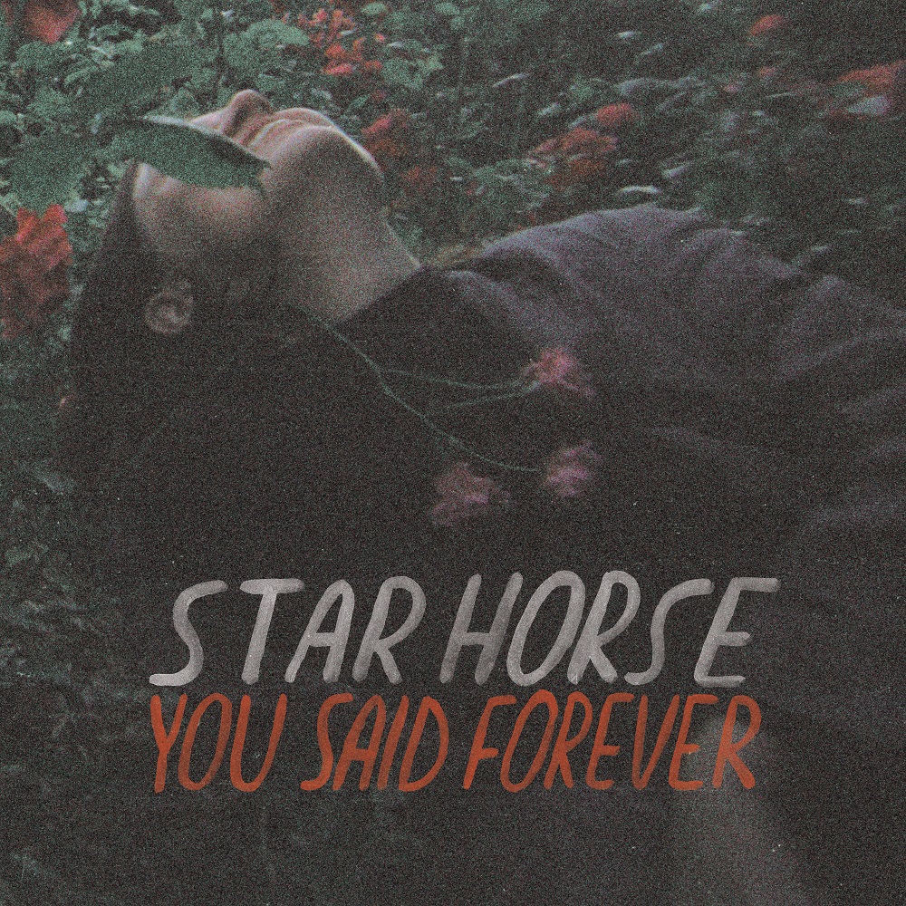 Star Horse - You Said Forever Vinyl LP (Black)