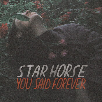 Star Horse - You Said Forever Vinyl LP (Black
