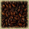 Chateau Chocolat 900 EBC per/Kg