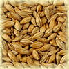 Chateau Wien 5-7 EBC 25kg