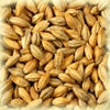 Chateau Pale Ale 7 EBC 25kg