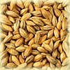 Chateau Pale Ale 7 EBC 25kg