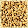 Chateau Pilsen6R 3-3.8 EBC 25kg