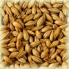 Chateau Munichh Light 15 EBC per/Kg