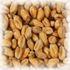 Chateau Weizen Blanc 3.5-5 EBC pro/Kg - 2