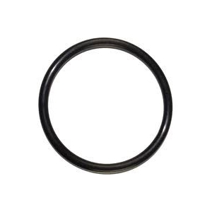 O-ring till lock (Corneliusfat)